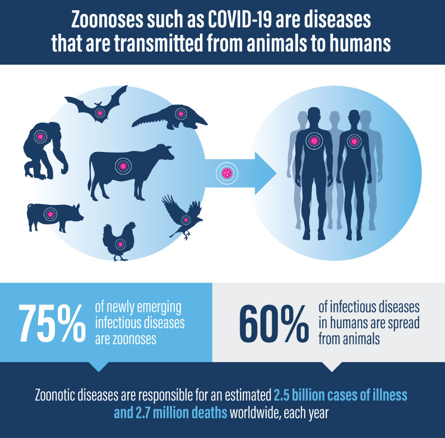 A majority of infectious diseases in humans are zoonotic in origin. Image: Proveg International