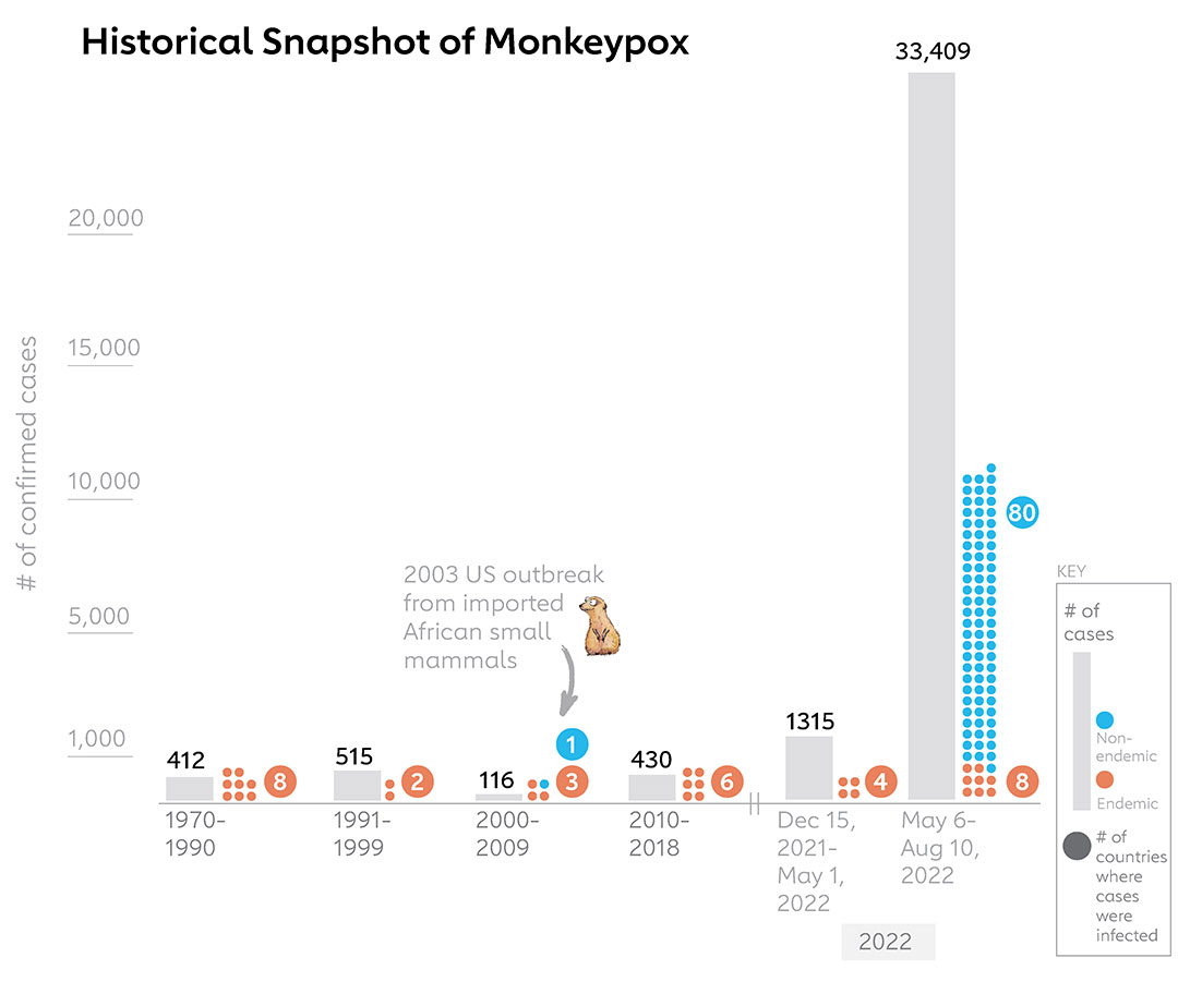 Source: Sklenovská N, Van Ranst M. Emergence of Monkeypox as the Most Important Orthopoxvirus Infection in Humans.