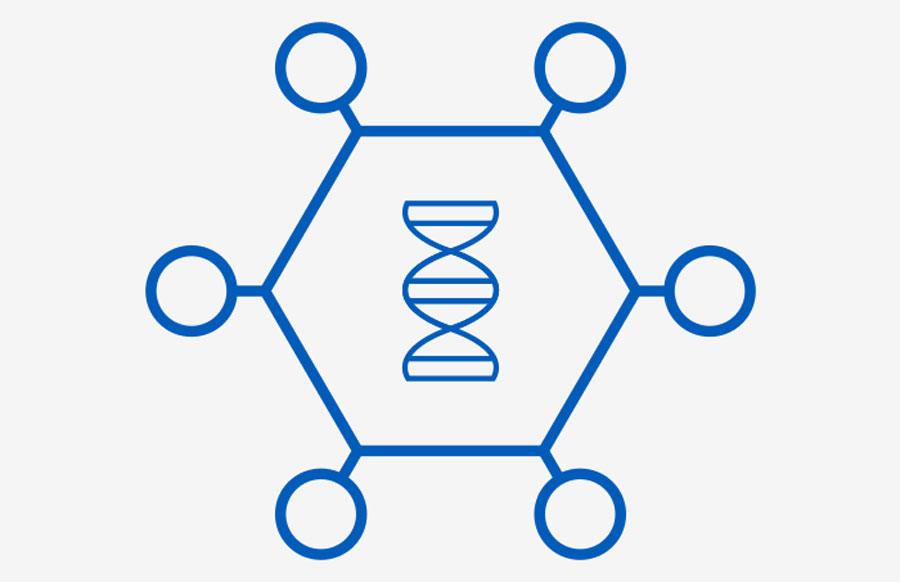 What are viral vector-based vaccines and how could they be used against