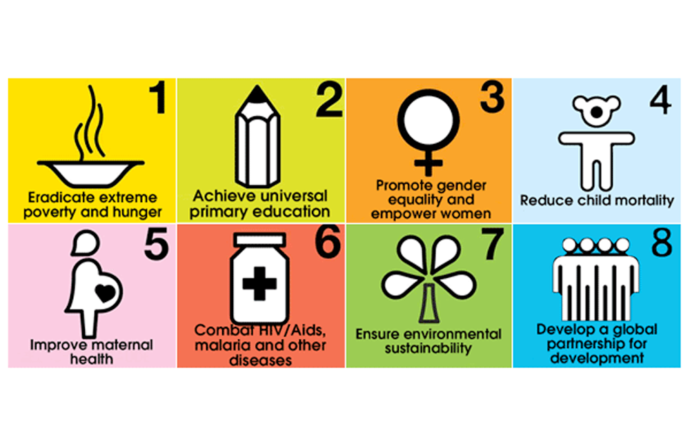 essay about 8 millennium development goals