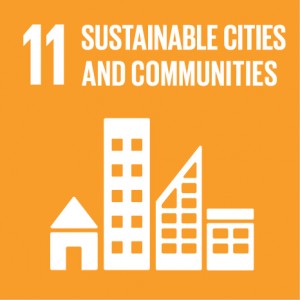 Sustainable Development Goals Report 2021 PDF |_150.1