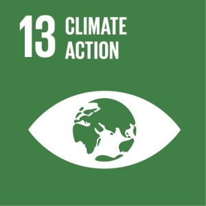 Sustainable Development Goals Report 2021 PDF |_170.1