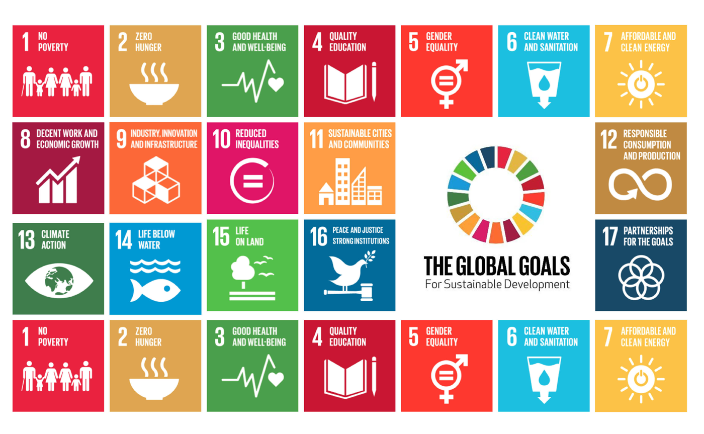 The Sustainable Development Goals