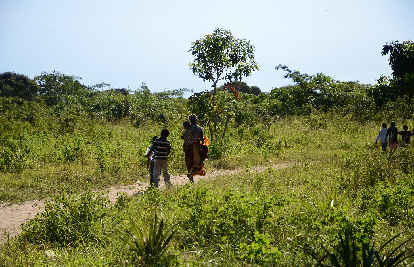 GAVI/2012/Eva-Lotta Jansson/Mozambique