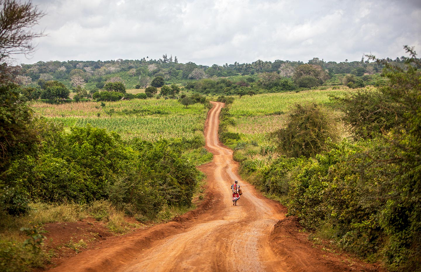 Evelyn Hockstein/2013/Kenya