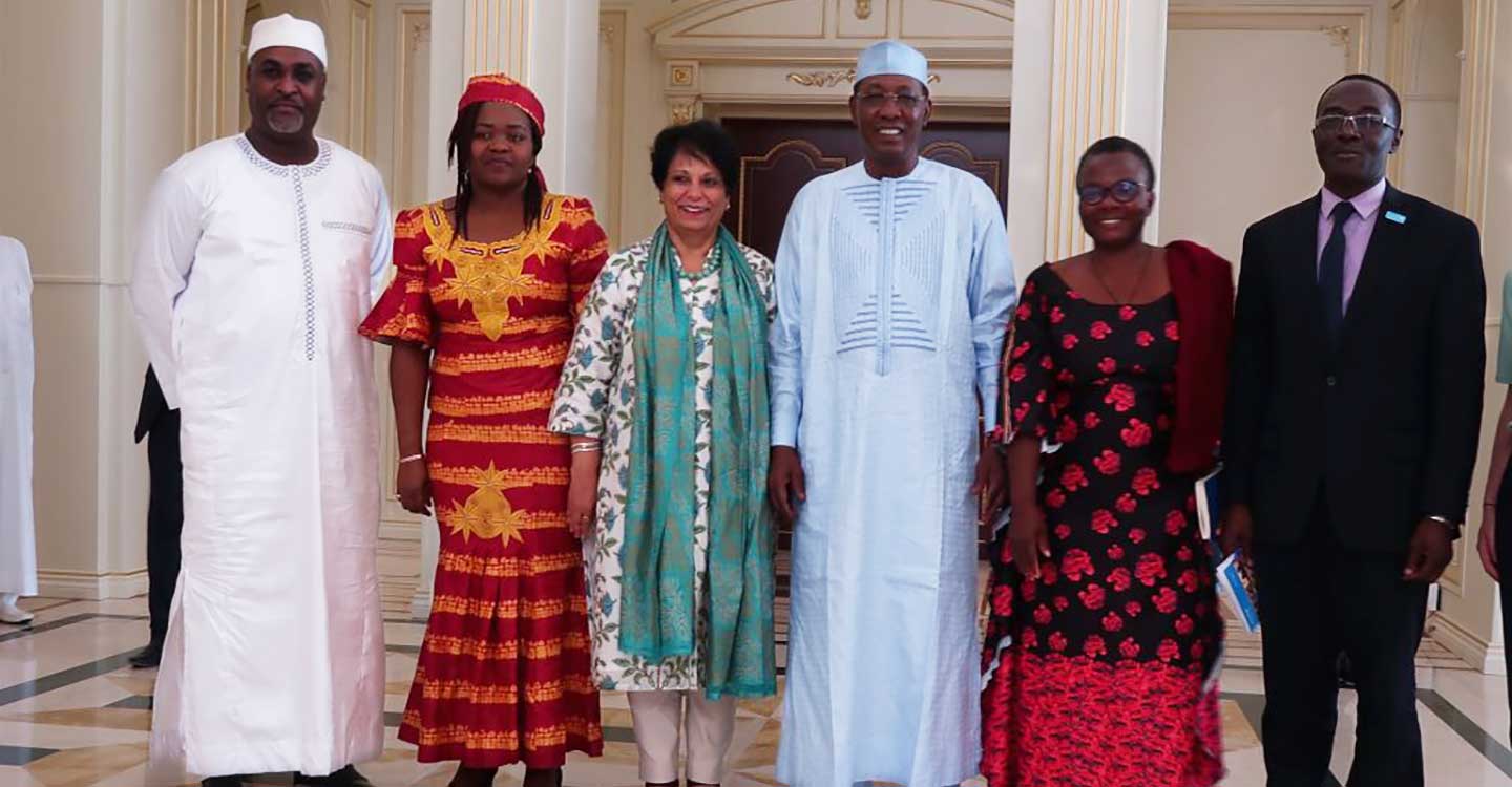The author with the President of Chad (third from right), the Minister of Health (furthest on the left) after discussing their commitment to immunisation.