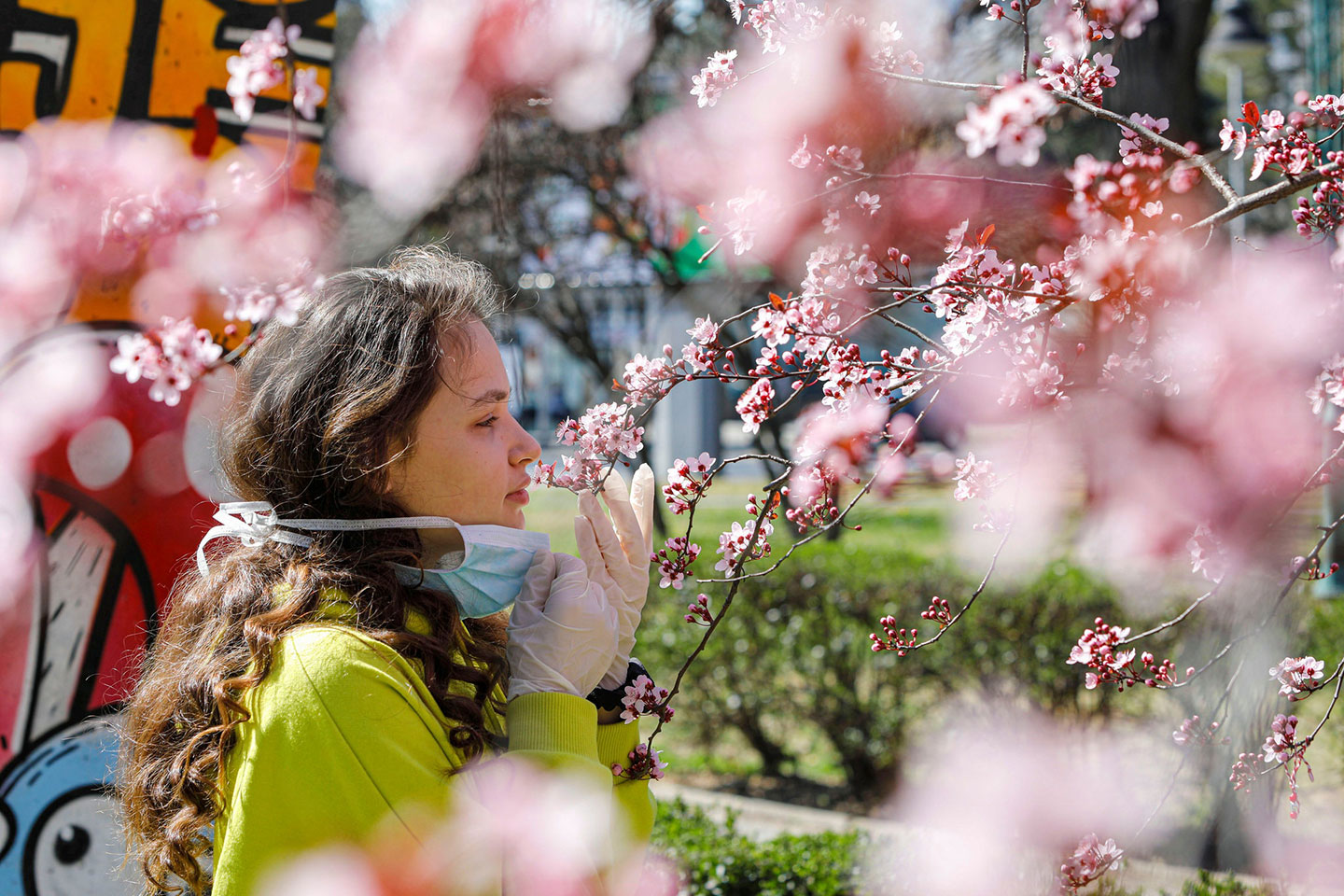 Image from the NYTimes article: A girl removed her mask to smell the flowers on a blooming tree in Skopje, North Macedonia, on Friday. Evidence is growing that lost sense of smell and taste are peculiar telltale signs of Covid-19, the disease caused by the coronavirus.Credit...Ognen Teofilovski/Reuters Image from the NYTimes article: A girl removed her mask to smell the flowers on a blooming tree in Skopje, North Macedonia, on Friday. Evidence is growing that lost sense of smell and taste are peculiar telltale signs of Covid-19, the disease caused by the coronavirus.Credit...Ognen Teofilovski/Reuters
