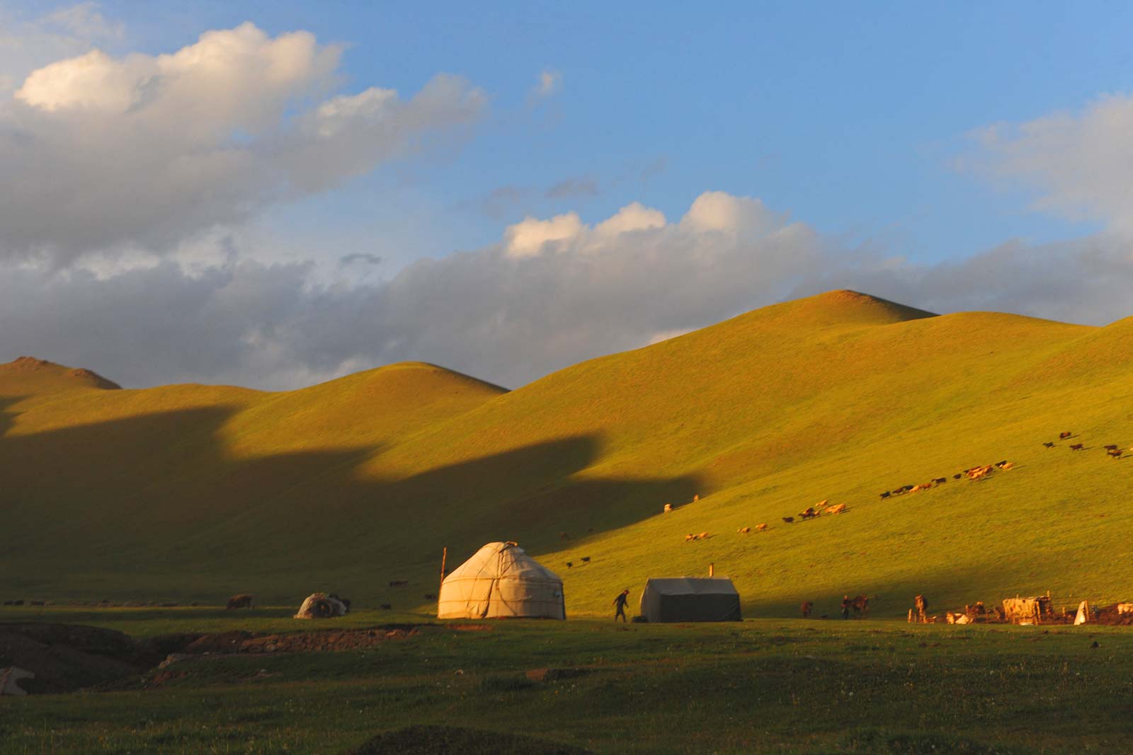 Au Kirghizistan, pays d’Asie centrale autrefois République soviétique... ... le paysage montagneux et sauvage, associé à des infrastructures insuffisantes, crée des entraves à la vaccination de toutes les familles.