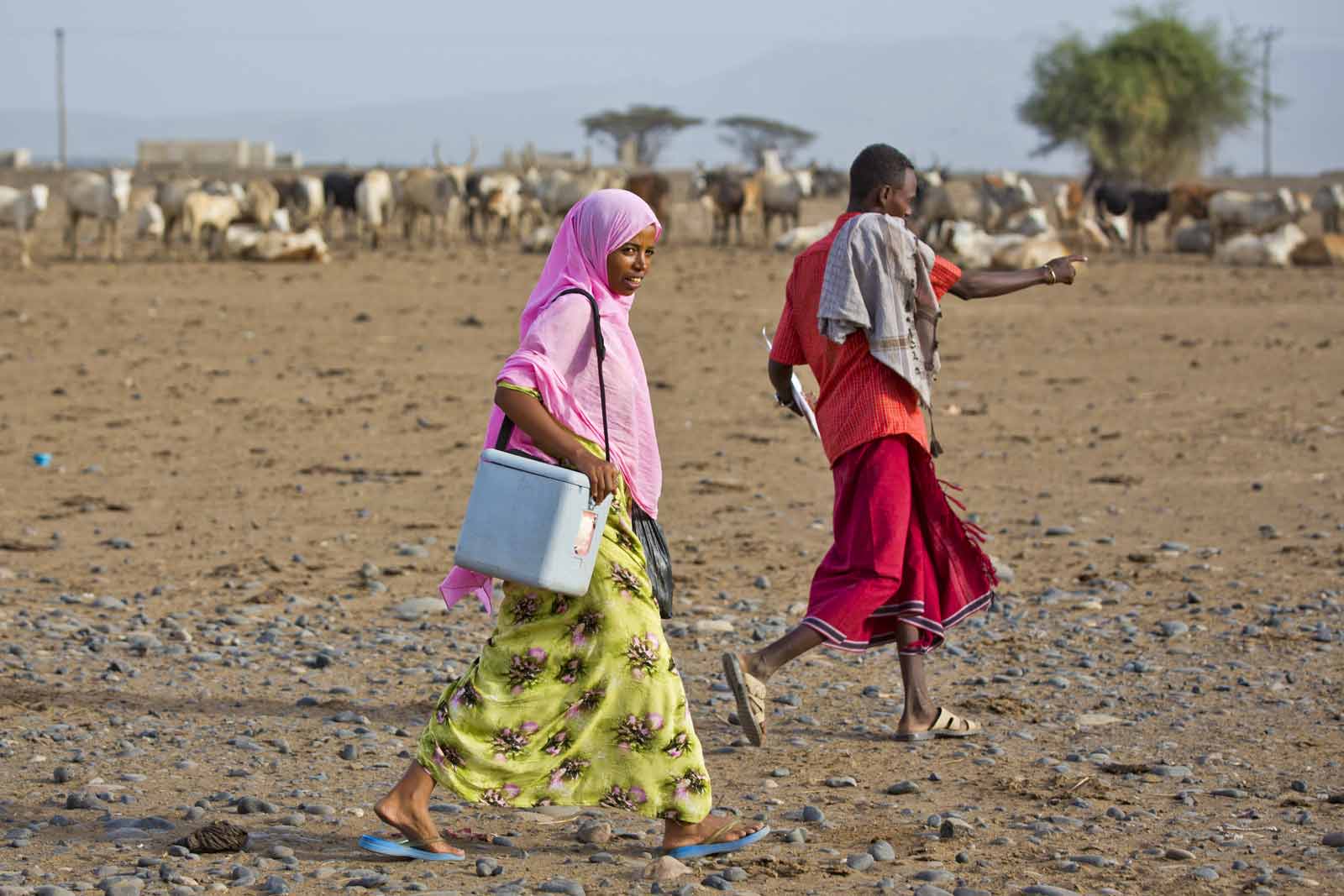 Ethiopia’s government has now created a dedicated programme for increasing immunisation coverage in pastoralist communities. Nurses like Sister Sofia Benti seek out children in need of vaccination through monthly outreach and home visits.