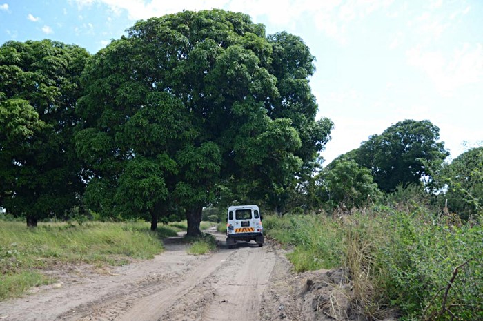 At midday, the Land Rover sets-off along the bumpy road to Bairro Macendzele. In January, at the height of Mozambique’s rainy season, these sandy tracks flood and are almost impassable.