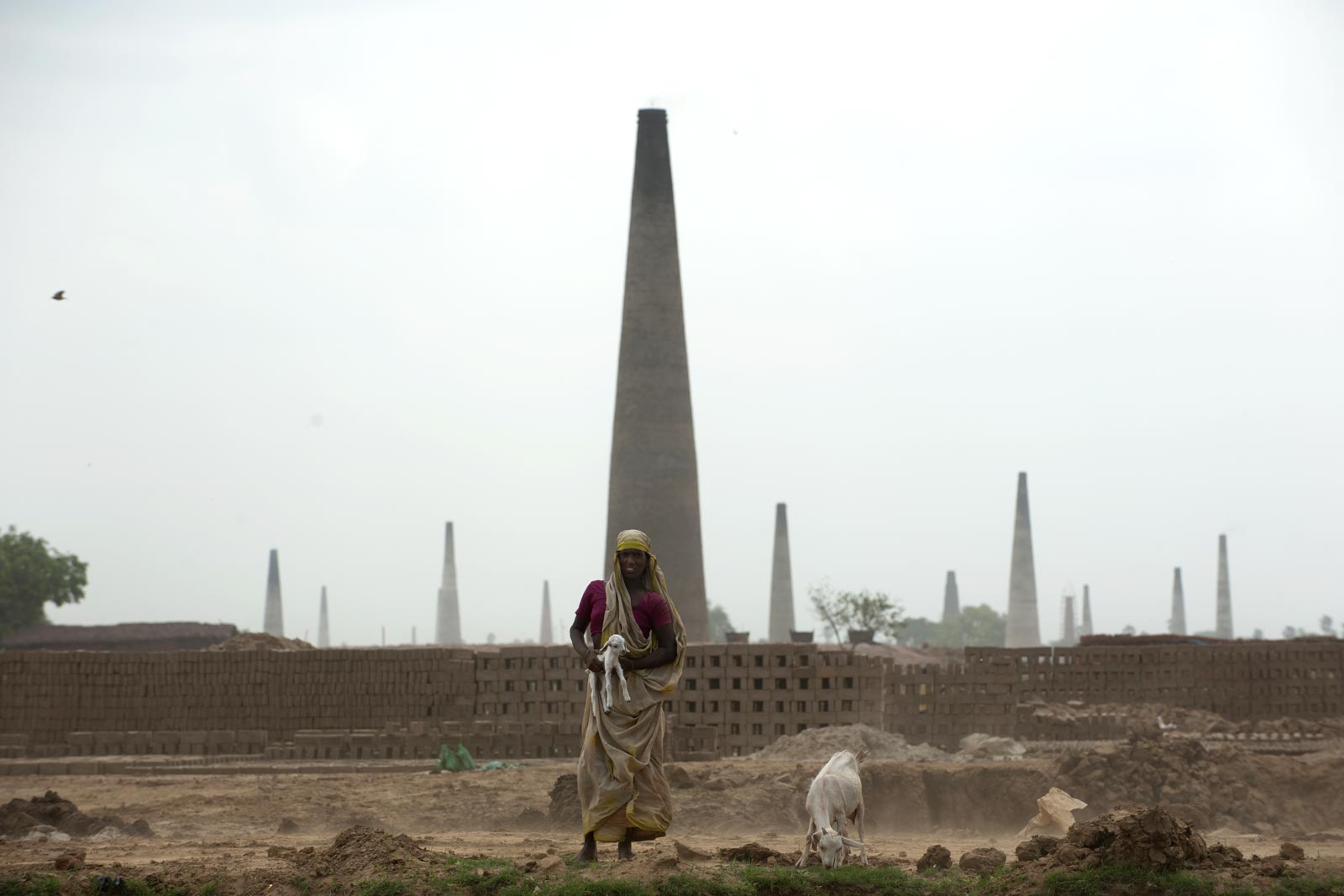 Une travailleuse indienne s’occupe de ses chèvres dans une briqueterie Hunk. Ce seul district ne compte pas moins de 93 briqueteries de ce genre. Chacune loge temporairement 200 personnes environ, dont presque la moitié sont des enfants. Du fait d’un mauvais assainissement et d’un accès insuffisant aux services de santé, les briqueteries constituent des zones à haut risque de maladies à prévention vaccinale.