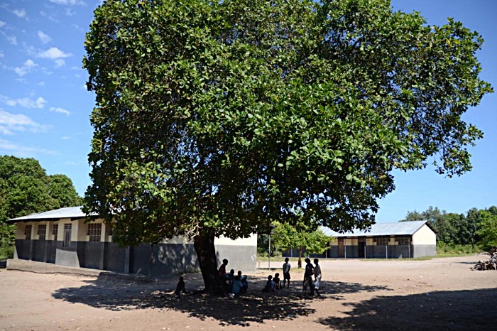 At Bairro Macendzele, the local school’s playground and the shade of a baobab tree form the backdrop for a monthly mobile clinic.