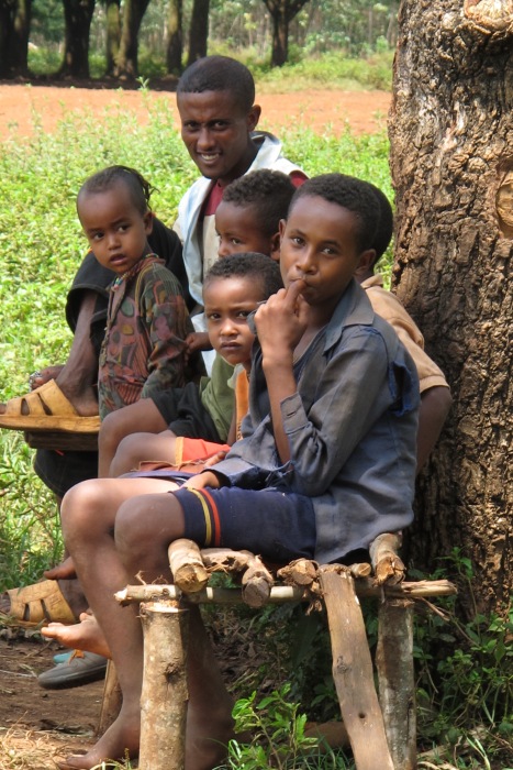 Child mortality rates have been falling steadily in Ethiopia from 210 deaths per 1,000 under-fives in 1999 to 109 in 2008, putting Ethiopia on target to achieve MDG 4 by 2015. The equivalent rate in the United States was 7.8 ( World Bank data).