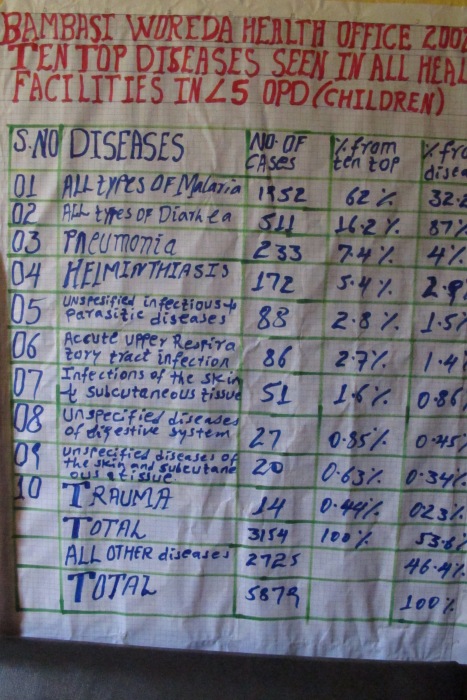 A chart at Bambasi Woreda health centre is a permanent reminder of the region’s most common childhood diseases.