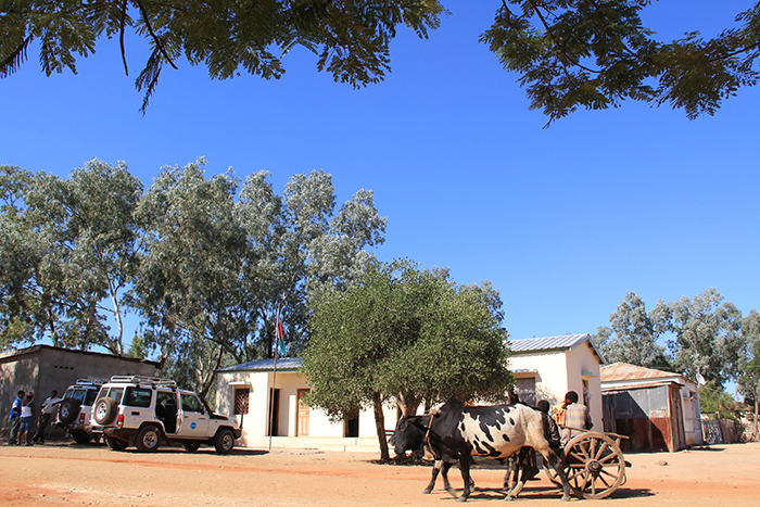 An ox and cart pass a health clinic at Ambovombe in southern Madagascar. With 80% of the population living in rural areas and an average annual income per capita of just US$ 410 in 2010, maintaining a functioning health system is a challenge.