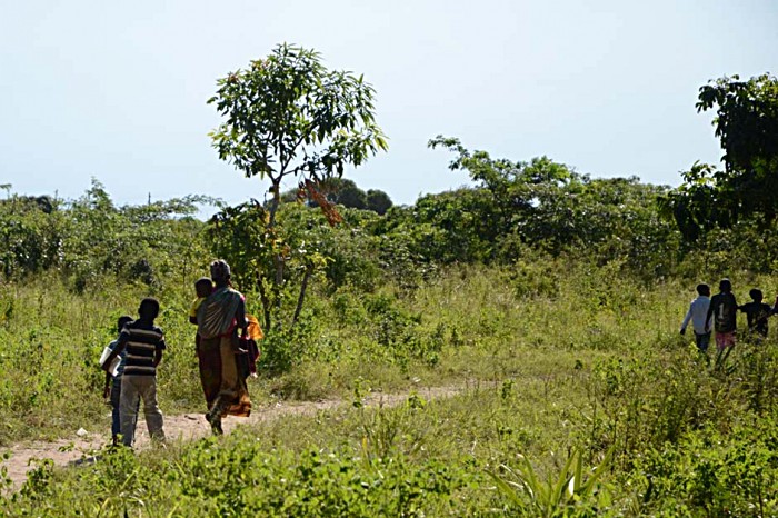 After three hours, the mobile clinic is finished and mothers head back through the banana trees and coconut palms to their villages.