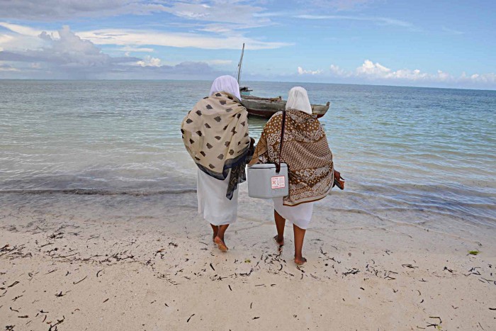 Health workers carrying vaccines wade out to the sailing boat they will use to reach children living on the islands of Zanzibar. From Zanzibar’s archipelago to the mountains of Arusha, geography and climate represent a formidable obstacle to the Tanzanian Health Ministry’s efforts to reach the eight percent of its population who do not have access to basic life-saving vaccines. Modern vaccines must be kept cool, so the vaccines are stored in a cold box packed with ice.