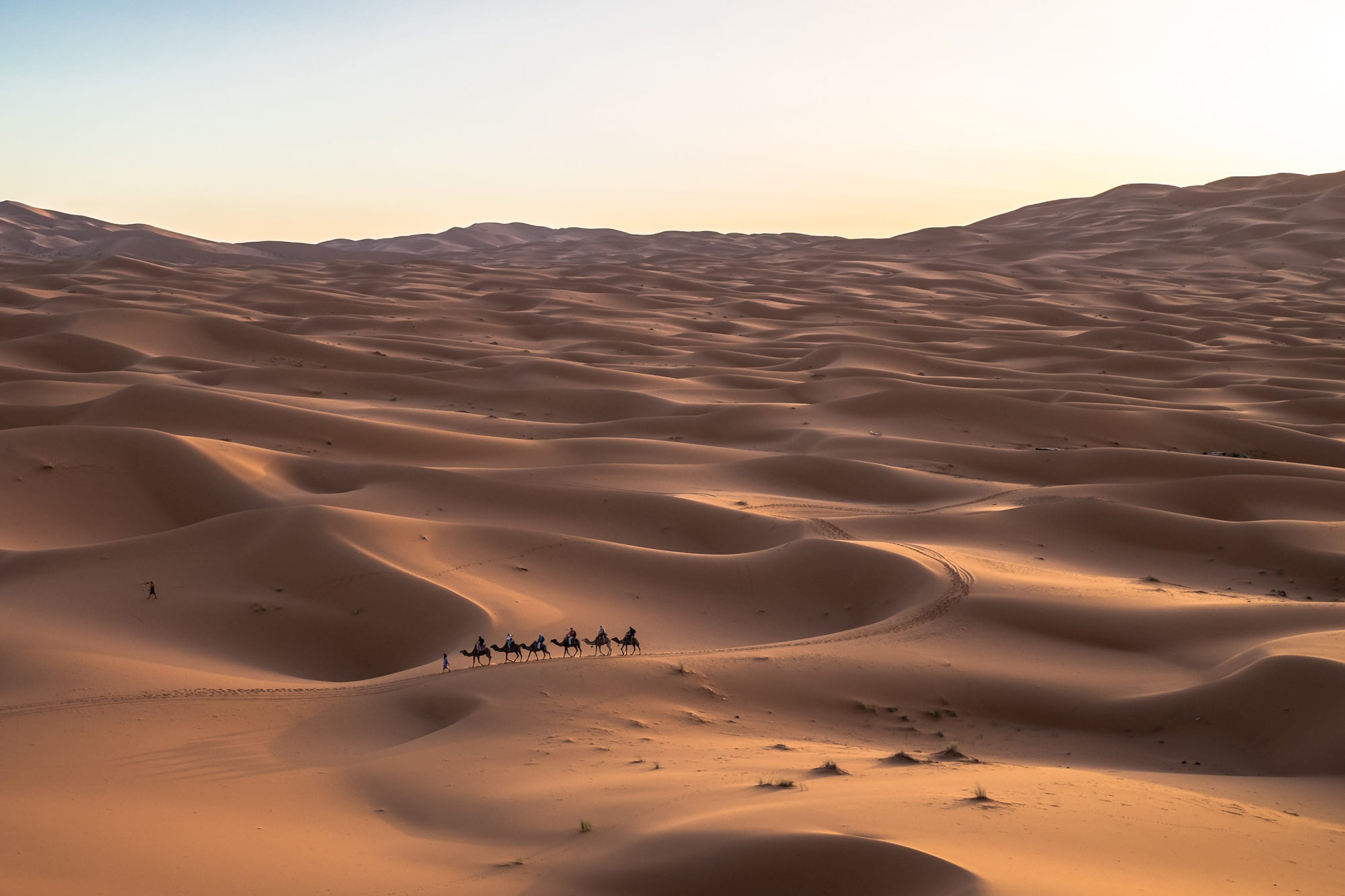 Desert scene. Jeff Jewiss/Unsplash