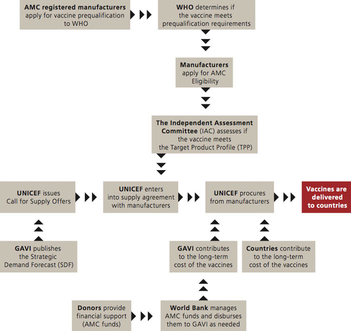 The pneumococcal AMC process