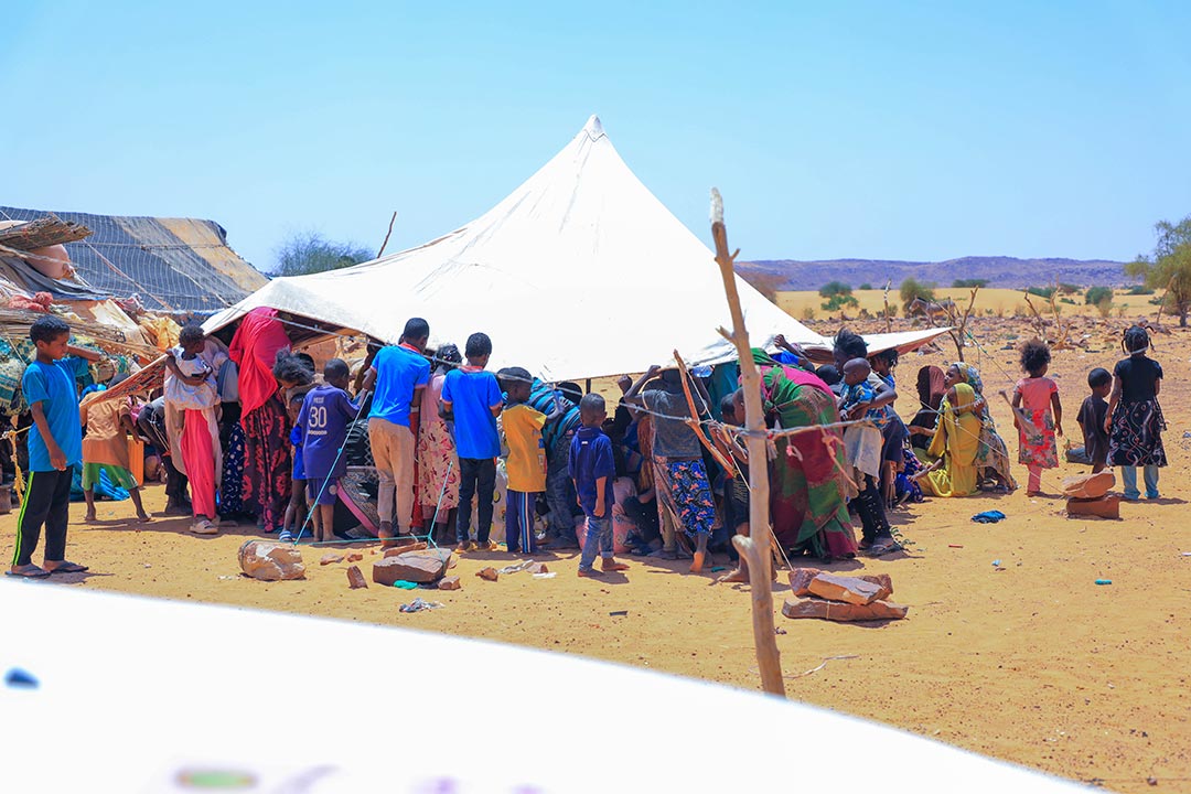 Vaccination session at a temporary centre serving nomadic populations in Tagant, 650 km from Nouakchott, the capital of Mauritania. This mobile strategy brings healthcare closer to communities on the move. Photo credit: OSFSR/2025