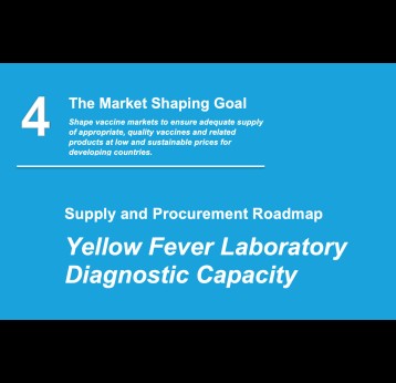 Yellow fever laboratory diagnostic capacity: public summary (2020)