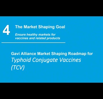 Typhoid conjugate vaccine roadmap: public summary
