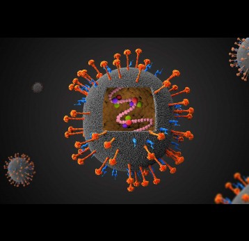 Nipah virus - 3D illustration