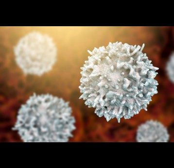 Closeup view of T-cell