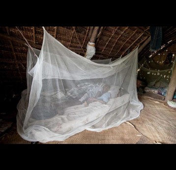COVID-19 prevented the distribution of insecticide-treated mosquito nets in some countries. Copyright: Department of Foreign Affairs and Trade. (CC BY 2.0).