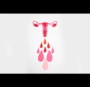 Illustration of a woman's reproductive system. Photo by Nadezhda Moryak from Pexels
