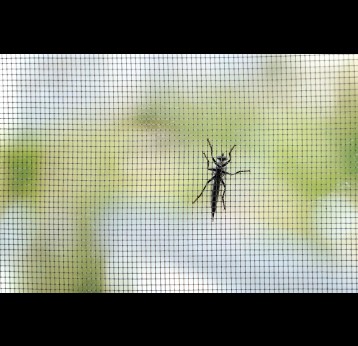 Long-lasting insecticidal net 