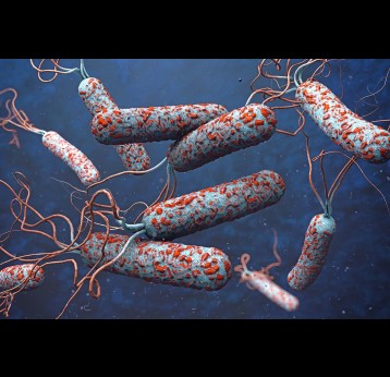 3D illustration of cholera pathogens in dark polluted water.