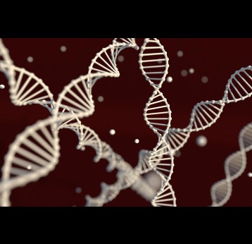 DNA chain on a dark background – 3D render