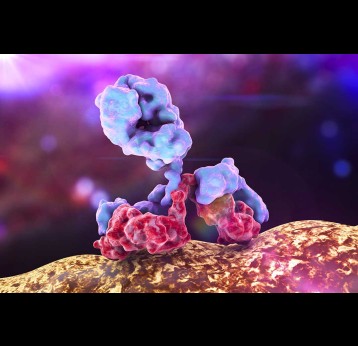 Sotromivab is a monoclonal antibody that binds to the coronavirus to stop it being infectious.