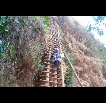 Agnes Namboozo climbing a basic ladder to immunise children in Mashelusi and Manyololo villages near Mount Elgon. Credit: Jack Nasolo
