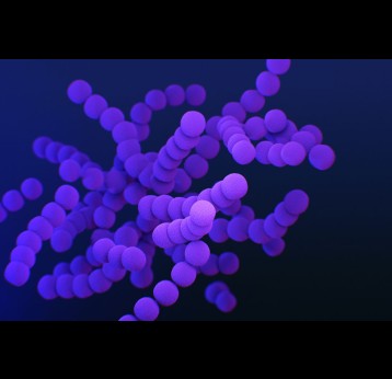 Illustration médicale de la bactérie du streptocoque du groupe B Crédit : CDC sur Unsplash