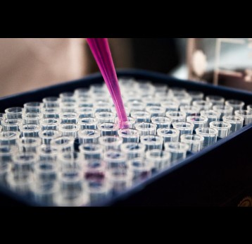 Test tubes in a laboratory. Credit: Louis Reed on Unsplash