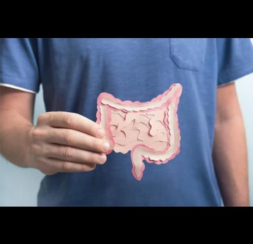 A man holding a model of the intestines. Credit: Helena Nechaeva/Shutterstock