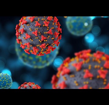 3D medical background with COVID19 virus cells. Credit:  KJPargeter/Freepix