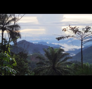 Panoramic view to the lower belt of Wabane, Southwest Region of Cameroon. Credit: Commons Wikimedia