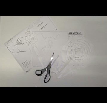 Virus snowflakes. Ed Hutchinson, MRC-University of Glasgow Centre for Virus Research, CC BY-SA