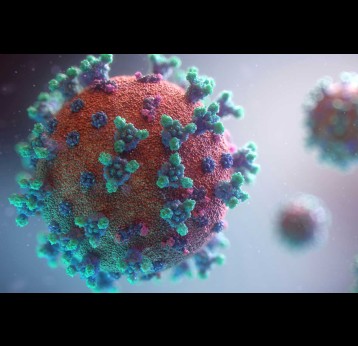 Credit: Fusion Medical Animation/Unsplash