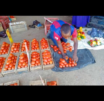 Cosmas Dambaza's son, Jacob, at Guzha market in Chitungwiza, getting ready for trading. Credit: Derick Masengarwodzi