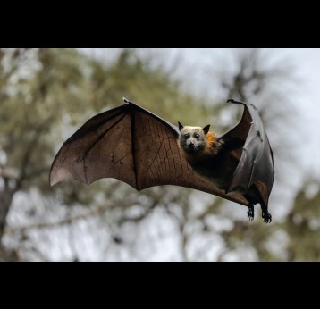Ken Griffiths/Getty Images