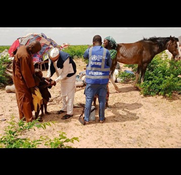 To tackle vaccine inequity, the Katsina State Government sends health workers on motorcycles to nomadic camps scattered across the state. Credit: Katsina State Primary Health Care Agency (KSPHCA)
