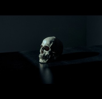 Human skull. Credit: Unsplash/Mathew MacQuarrie