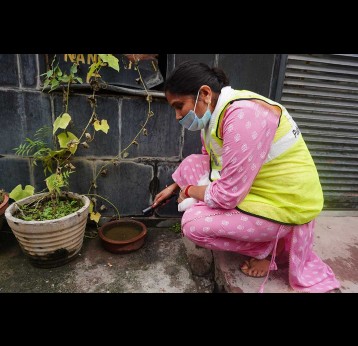 Ms Shilpi inspects a water pot kept outside a home for birds, checking for mosquito larvae as part of routine dengue surveillance in South Delhi. Photo by Safina Nabi