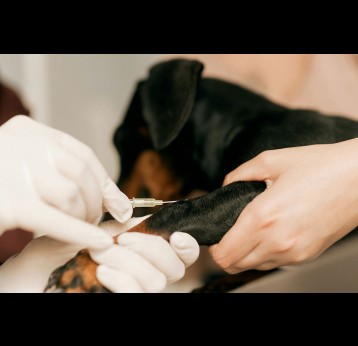 Photo by Alexander Mass on Unsplash