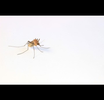 Photo by Cameron Webb on Unsplash