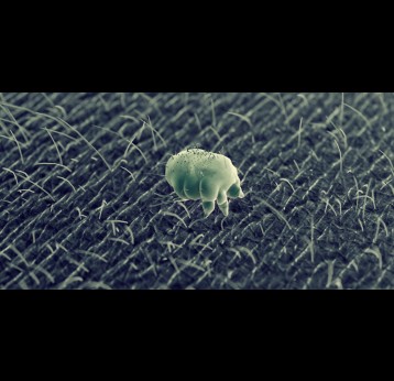 MediSphere/Shutterstock.com